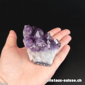 Améthyste du Brésil, druse. Pièce unique 202 grammes