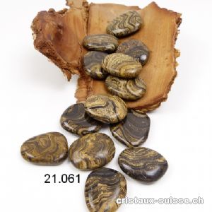 Stromatolite plate, 3 - 3,5 cm. Taille M-L