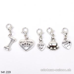 Lot 5 Charms 1 à 1,5 cm et crochet, en métal argenté. OFFRE SPECIALE