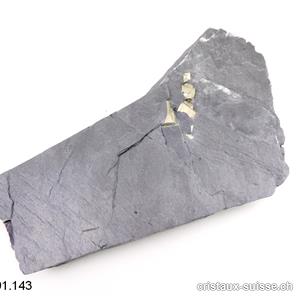 Pyrite sur Ardoise de la Suisse avec support plexiglas. Pièce unique