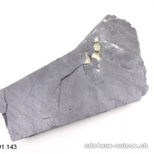 Pyrite sur Ardoise de la Suisse avec support plexiglas. Pièce unique