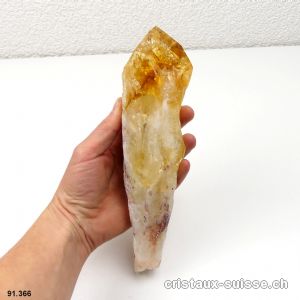 Citrine du Brésil pointe brute GEANTE. Longueur 22 cm. Pièce unique 614 grammes