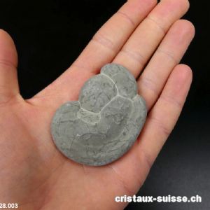 Fairy Stone DEVELOPPEMENT DE LA VIE. Pièce unique