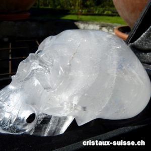 Crâne en cristal de roche. Pièce unique + de 1,5 kilo. 