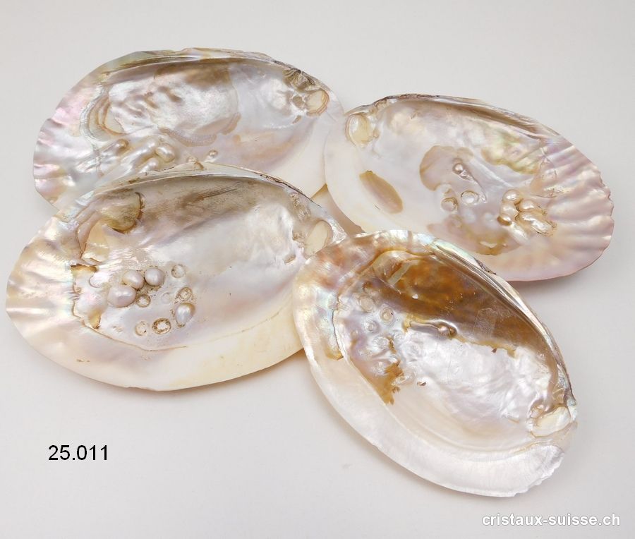 Dans Quel Coquillage Trouve T On Des Perles Coquillage avec perles dans la nacre 13 à 17 cm. Qualité AB