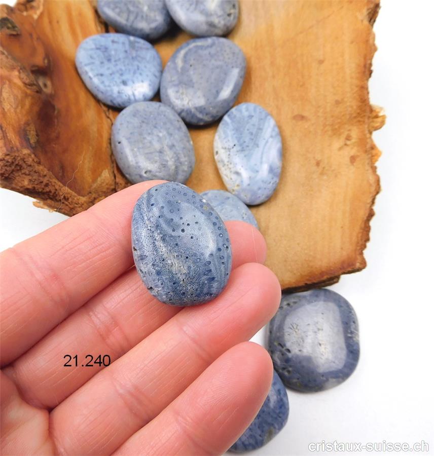 Corail bleu plat 2,8 à 3,2 cm. Taille M