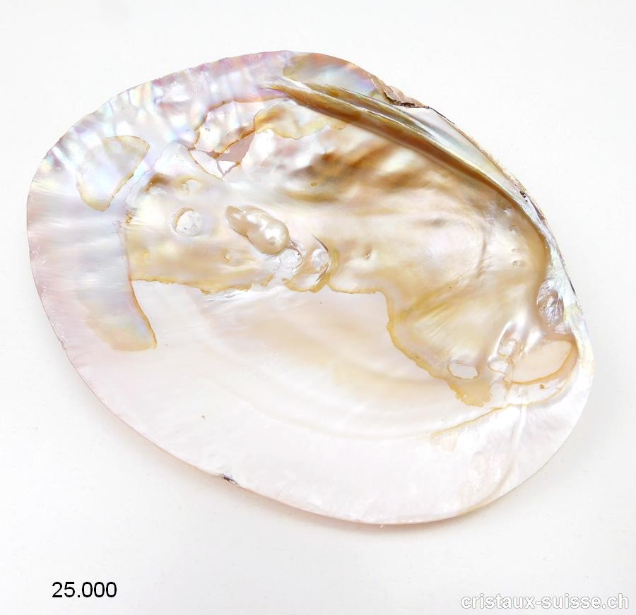 Coquillage avec perles dans la nacre 15 - 17 cm