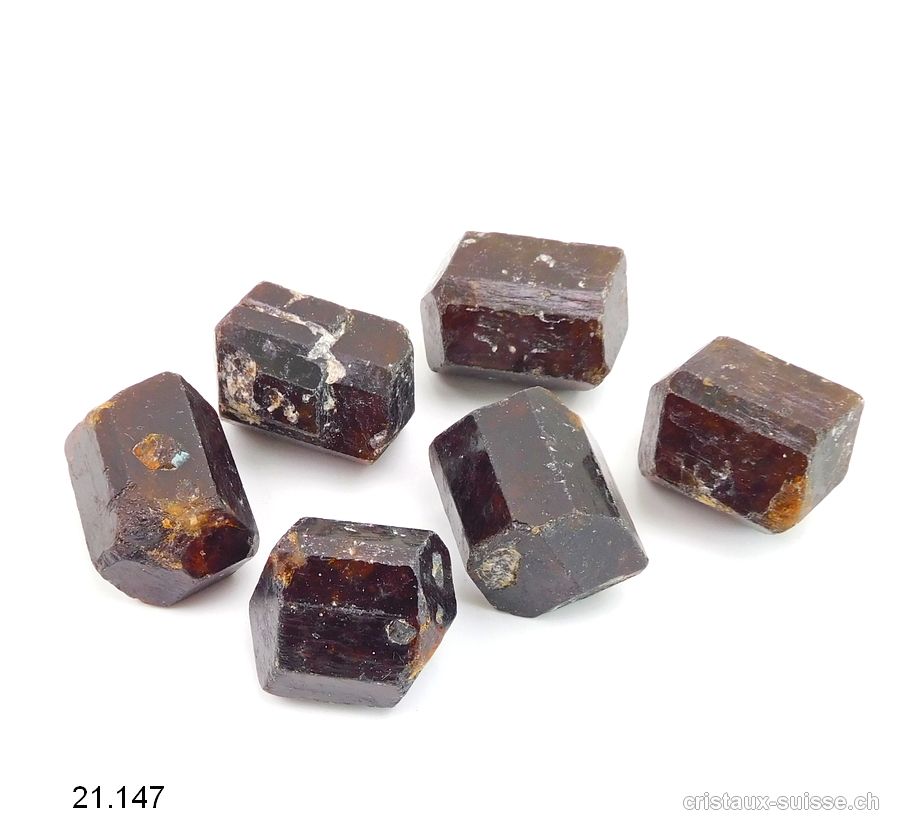 Tourmaline brune - Dravite, biterminée brute 2,5 - 2,8 cm / 17 à 20 grammes