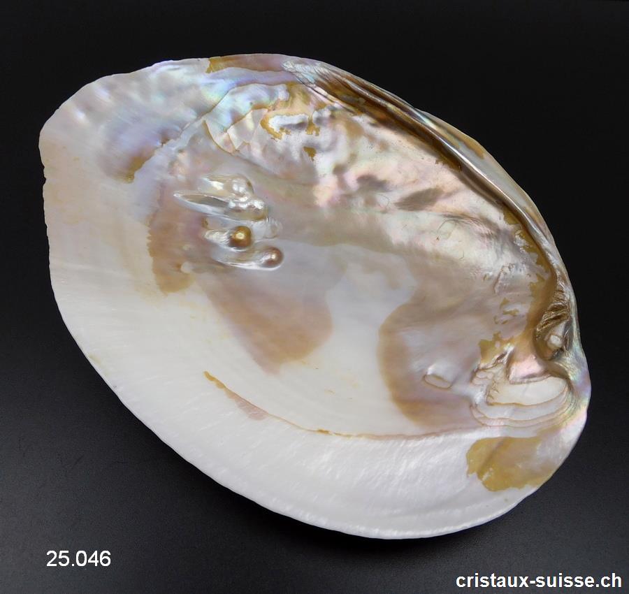 Coquillage avec perles dans la nacre 18 à 19 cm. Taille XL