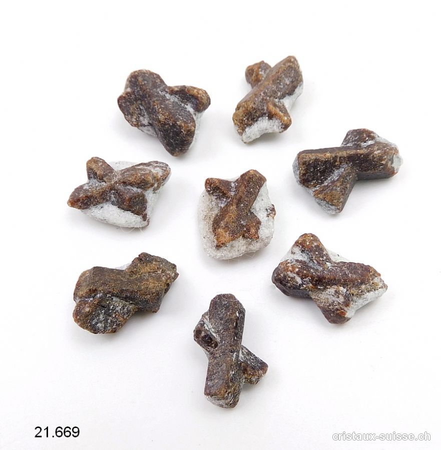 Staurotide - Staurolite brute de Russie, env, 1,5 cm. RARETÉ