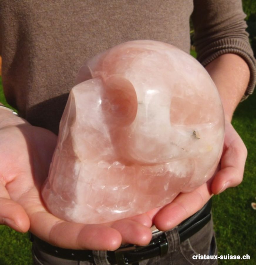 Crâne Quartz rose, long 15 cm, haut 11 cm. Pièce unique 2,538 kilos