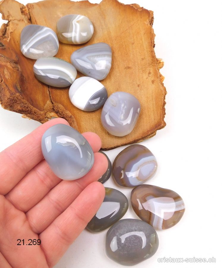 Agate Botswana gris-beige plate 3 - 3,5 cm. Taille M