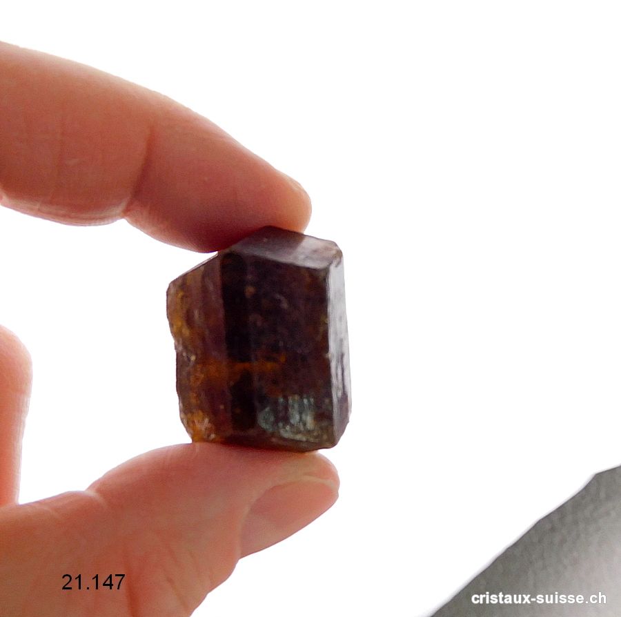 Tourmaline brune - Dravite, biterminée brute 2,5 - 2,8 cm / 17 à 20 grammes