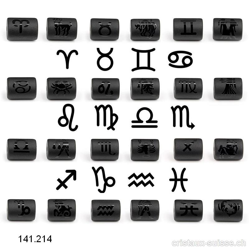 12 x Obsidienne noire Tubes 14 x 10 mm percés, 12 signes astrologiques