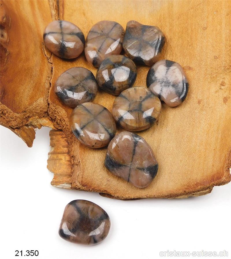 Chiastolite  - Pierre de Croix 2 - 2,5 cm / 5 à 9 grammes. Couleur claire