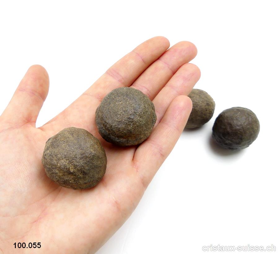 Moquis marbles, paire mâle-femelle. Diamètre 3 cm à 3,5 cm