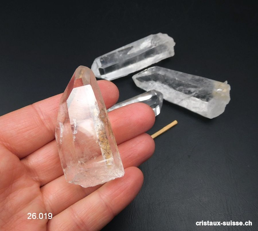 Nos Crânes en Cristal de Roche / Quartz