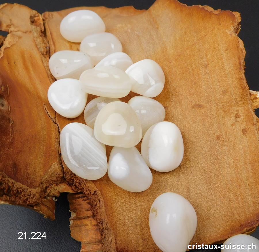 Agate blanche - Agate de la Paix 06 à 10 grammes / 2 à 2,5 cm. Taille SM. OFFRE SPECIALE