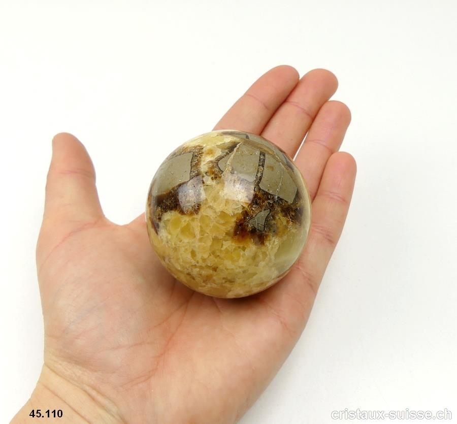 Boule Septarie 5,6 cm avec support en bois. Pièce unique 250 grammes