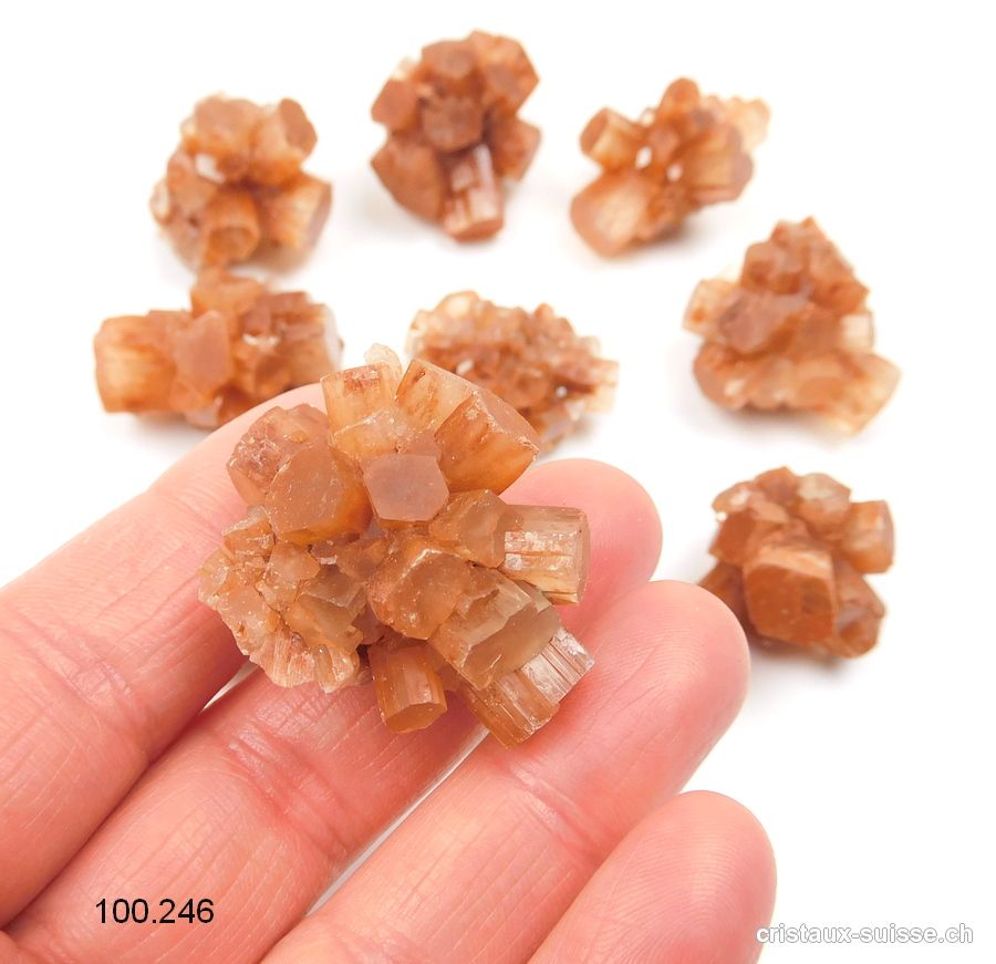 Aragonite brute du Maroc 3 à 3,5 cm. Qualité A