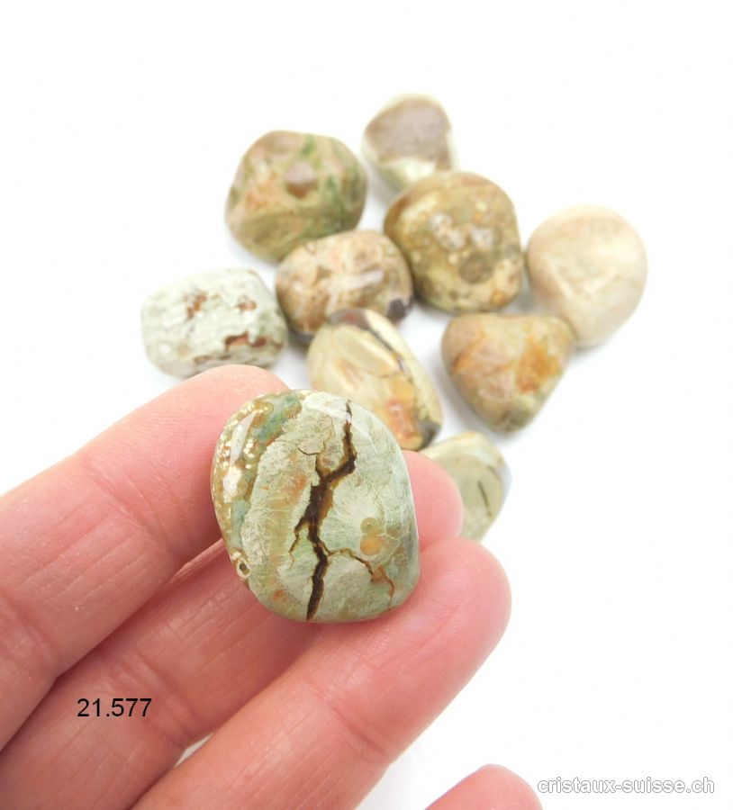 Agate Thunderegg - Pierre d'amulette d'Australie 2 - 2,5 cm. Taille M