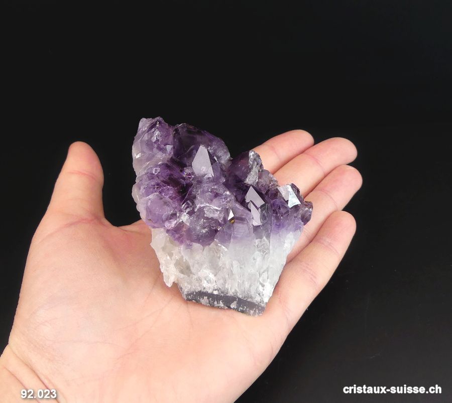 Améthyste du Brésil, druse. Pièce unique 202 grammes
