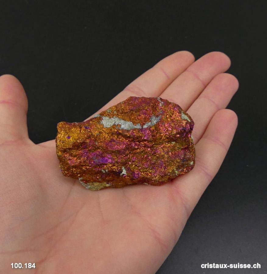 Chalcopyrite violet-doré du Mexique, brute. Pièce unique