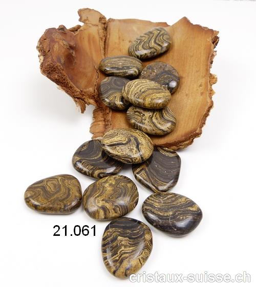 Stromatolite plate, 3 - 3,5 cm. Taille M-L