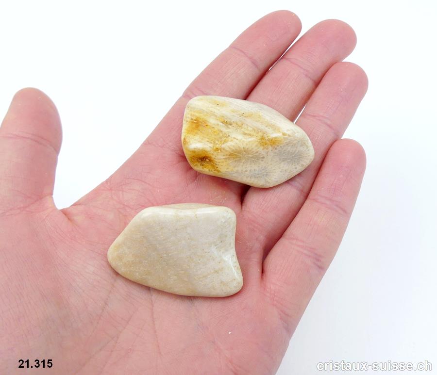Corail fossilisé beige forme libre, taille XL, 19 à 20 grammes.