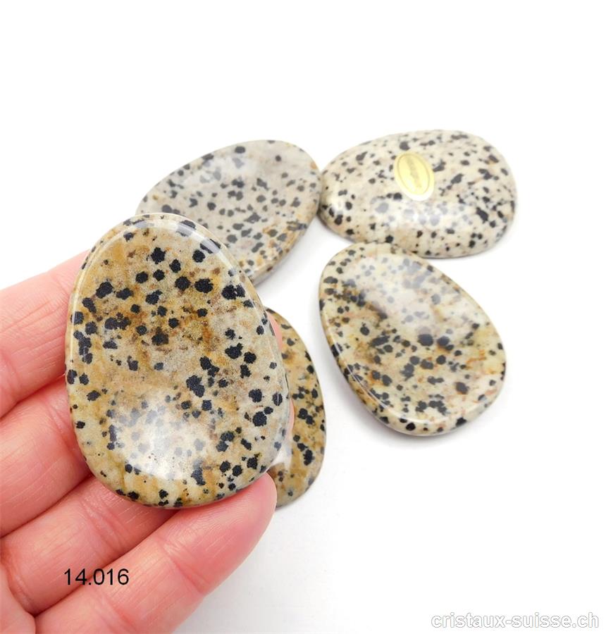 Jaspe Dalmatien - Aplite ou Porphyrite, pierre anti-stress incurvée 5 x 3,5 cm