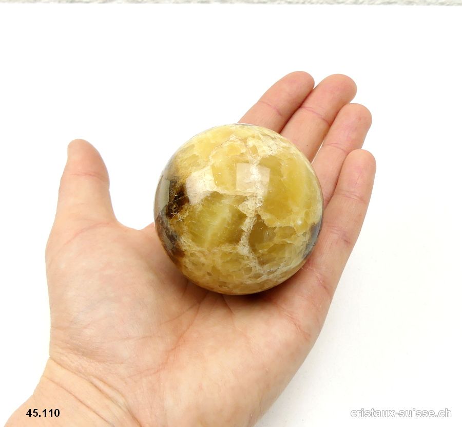 Boule Septarie 5,6 cm avec support en bois. Pièce unique 250 grammes