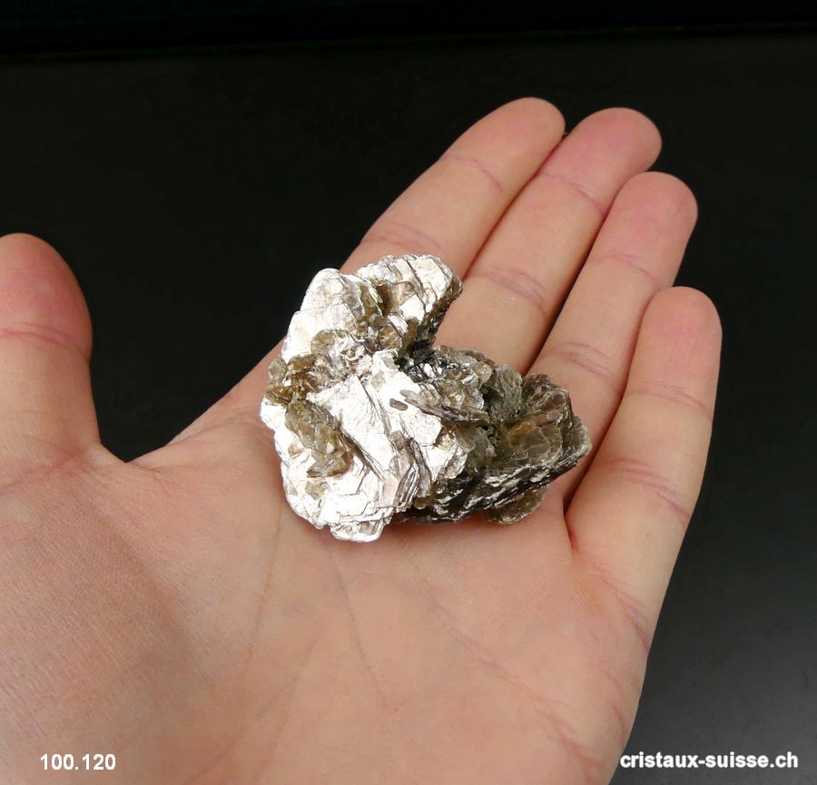 Muscovite du Brésil. Pièce unique 4,5 cm