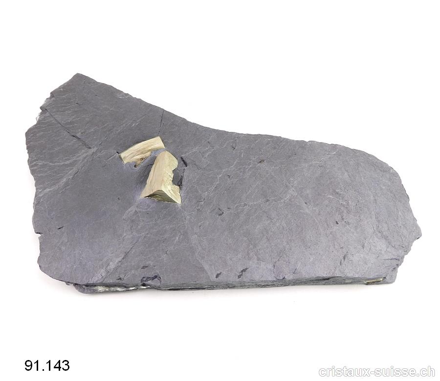 Pyrite sur Ardoise de la Suisse avec support plexiglas. Pièce unique
